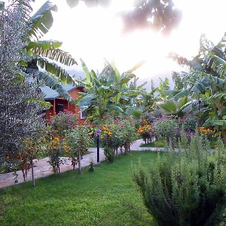Estelar Bungalow Cirali Exterior foto