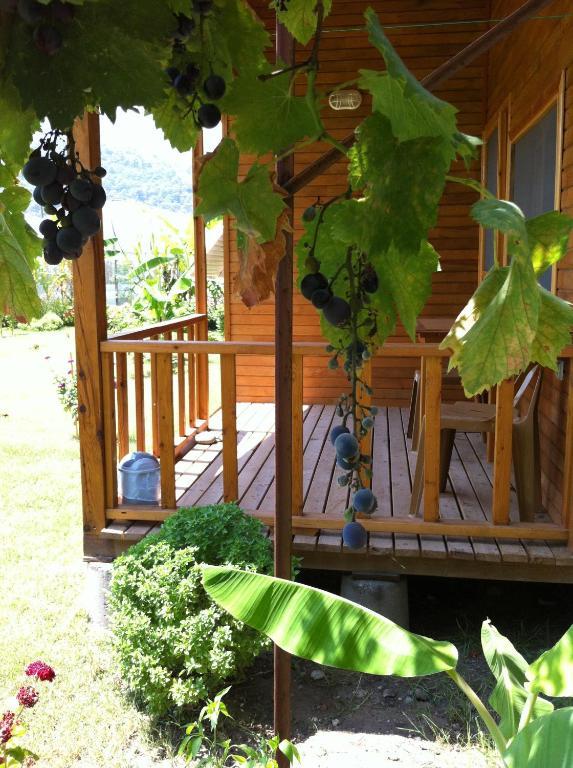 Estelar Bungalow Cirali Quarto foto